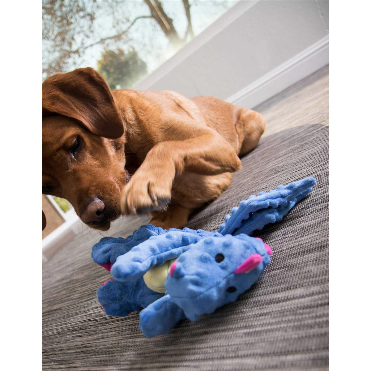 Dog Toy C3025