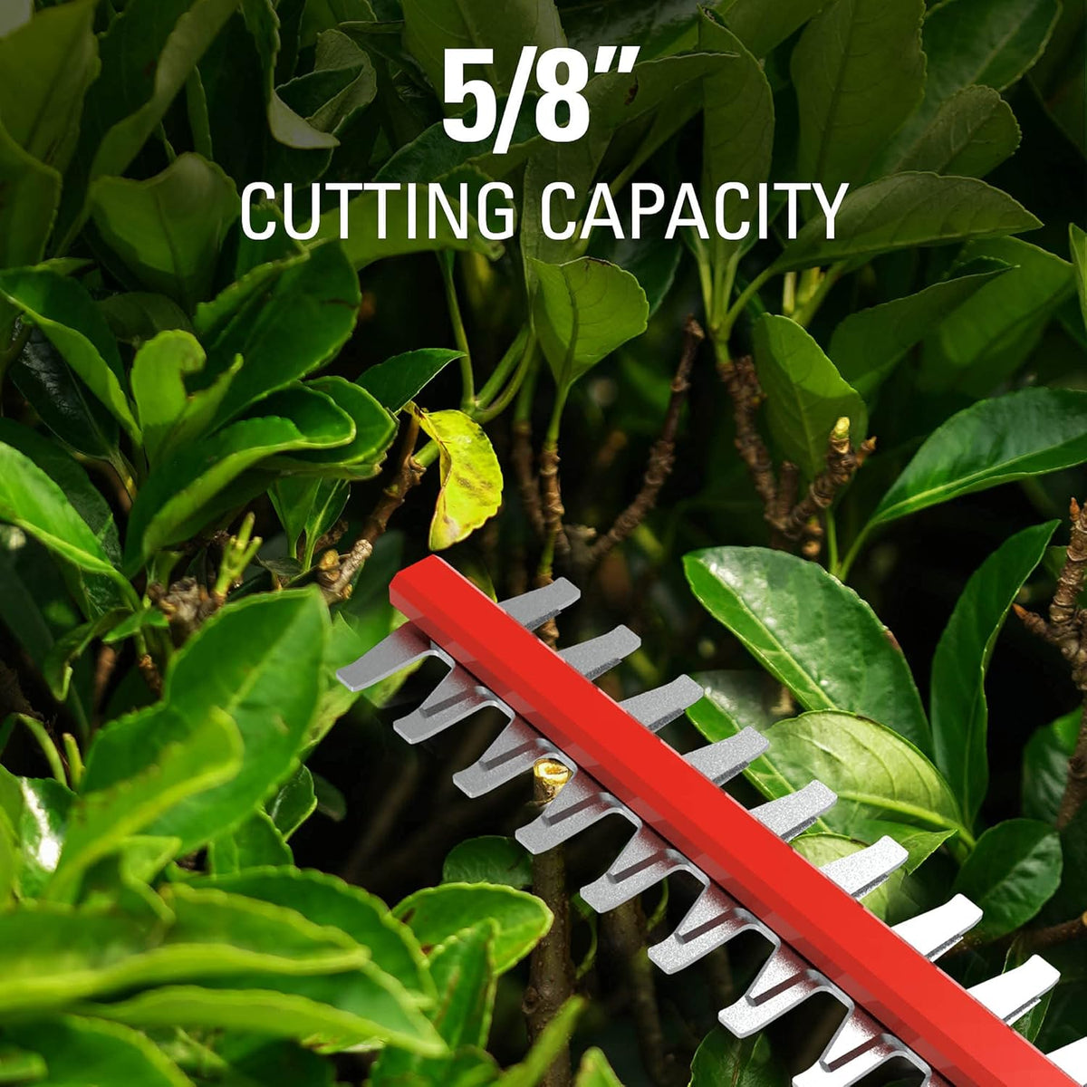 40V 20" Cordless Pole Hedge Trimmer with 2.0Ah Battery and Charger W28179