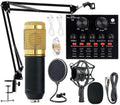 Podcast Equipment Bundle, Condenser Studio Microphone with Sound Card, Pack of 2 O938920
