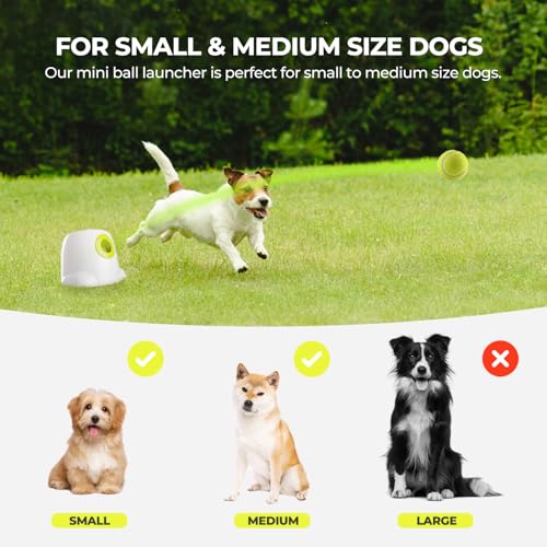 Dog Automatic Ball Launcher with 3 Balls A31032