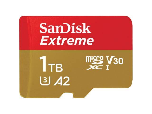 SanDisk Extreme 1 TB microSDXC S6173