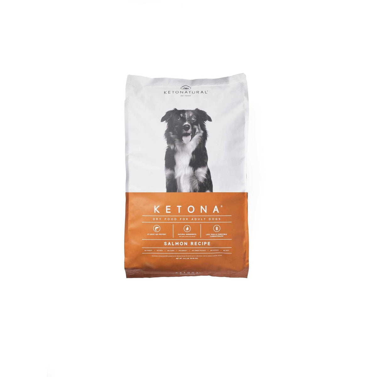 Salmon Recipe Adult Dry Dog Food Q5170