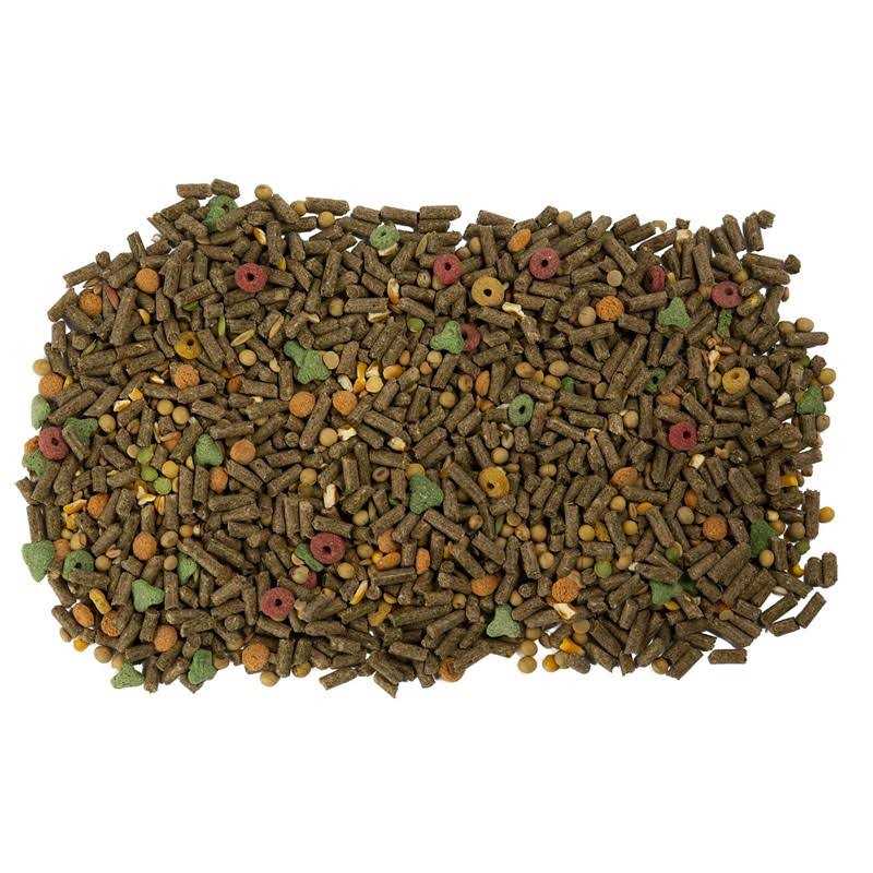 Guinea Pig Food T19058