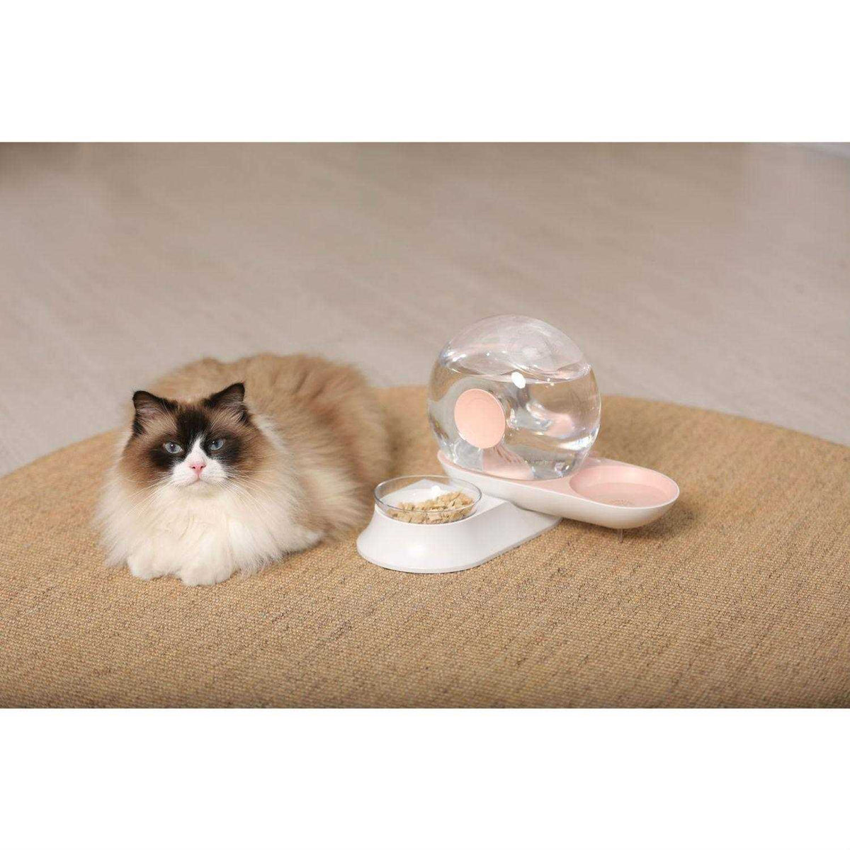 Snail Shaped 2-in-1 Gravity Pet Water Dispenser and Food Bowl F2611