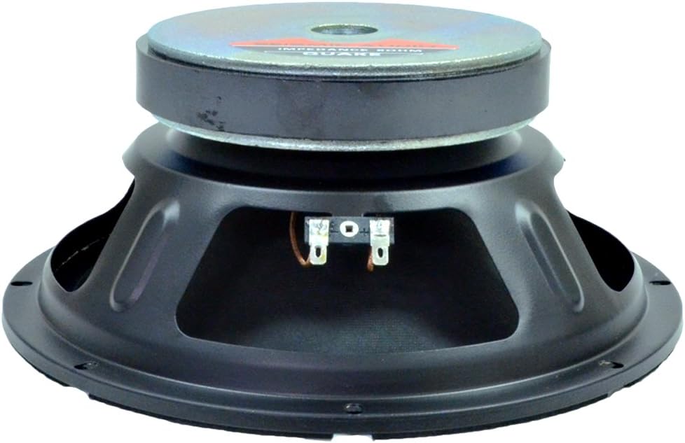 10" Raw Woofer Speaker Q83684