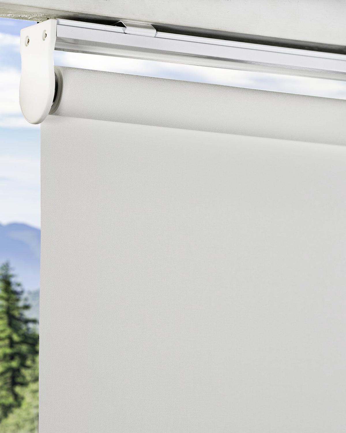 Cordless Blackout Roller Shade 23"W X 72"H Q2079