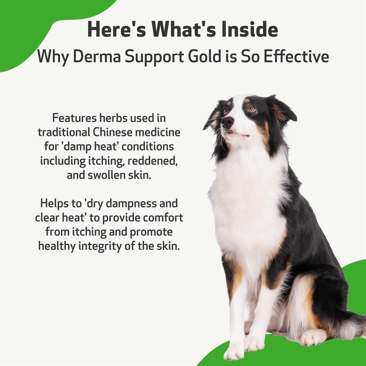 Derma Support for Healthy Coat in Dogs J2135