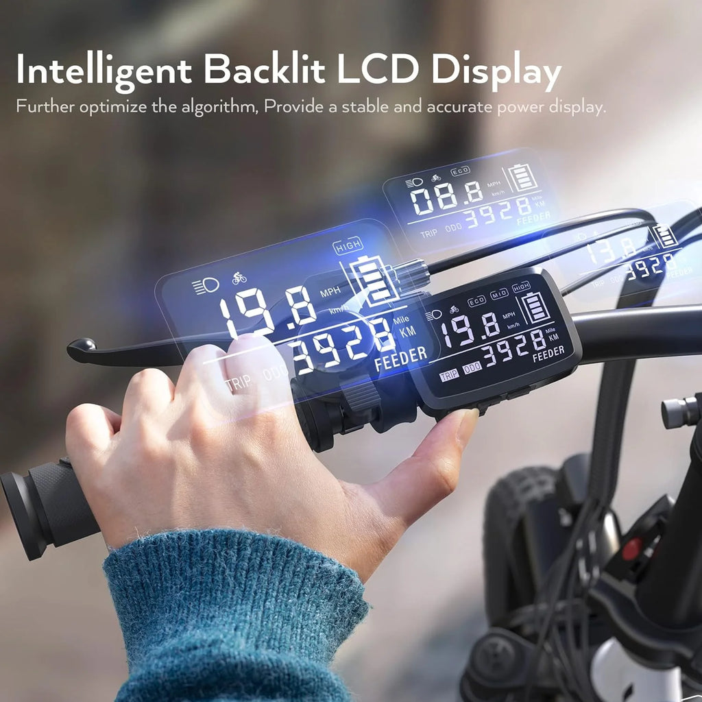 350W Fat Tire Folding Electric Bike V82590