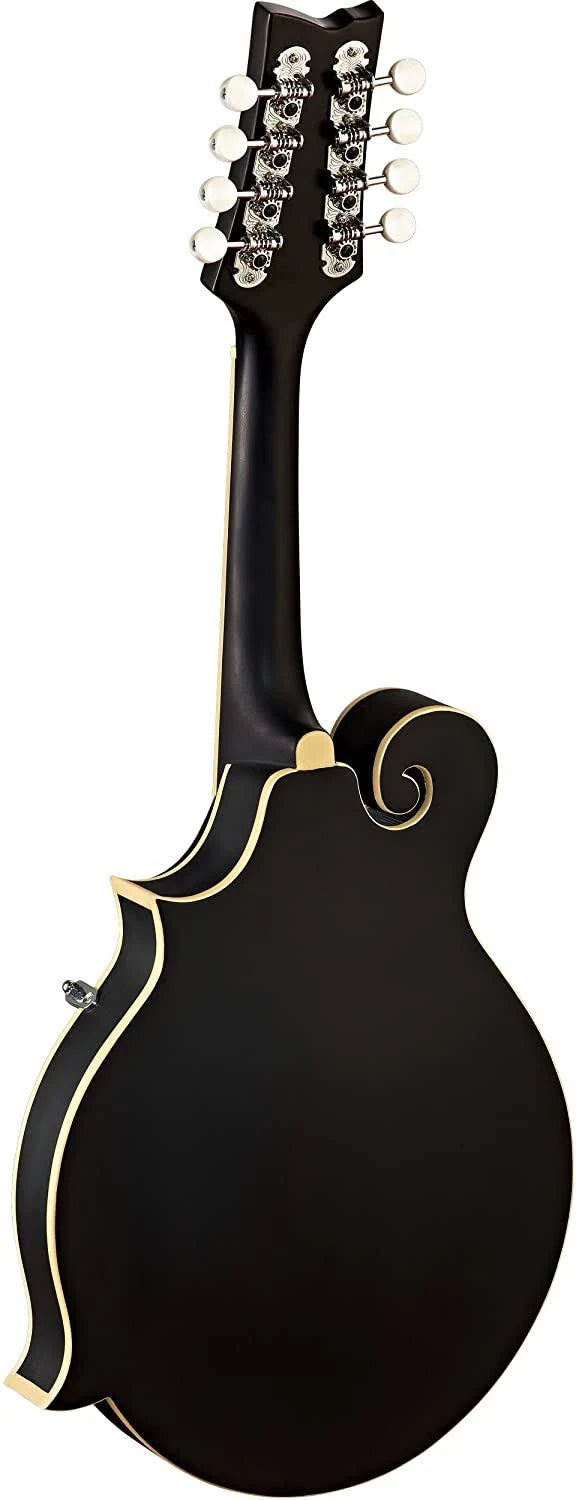 Black Electric Guitar H50192