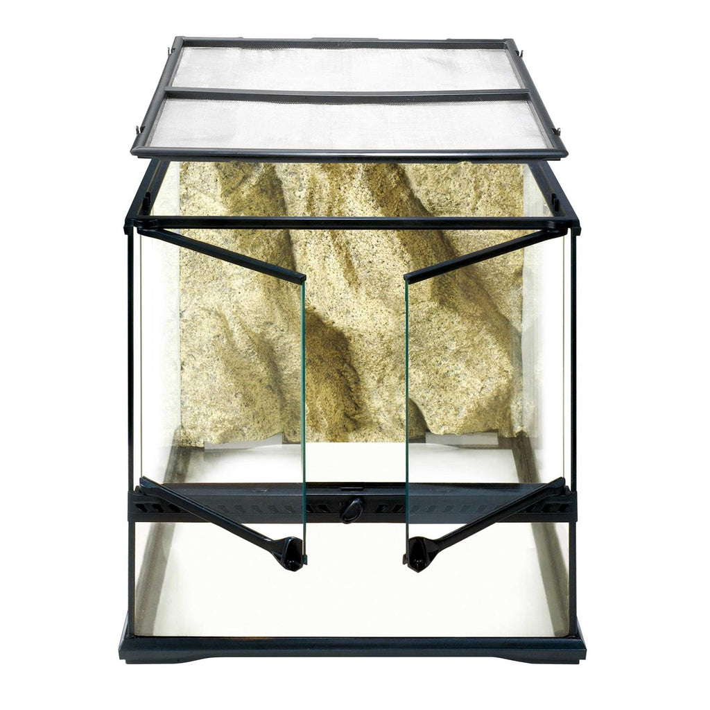 Glass Terrarium X937