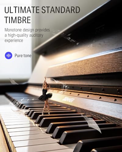 88 Key Weighted Digital Piano with Three Pedals Y887051