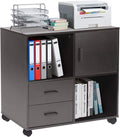 2 Drawer Wood File Cabinet with Shelves and Wheels G68015