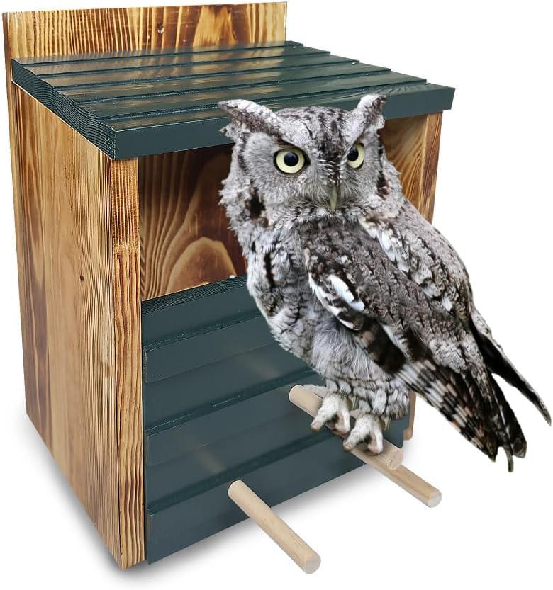 Owl House 100% Cedar Wood J5875