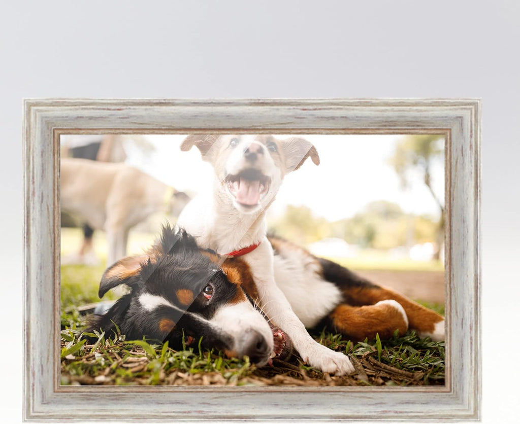 White Real Wood Picture Frame S45513