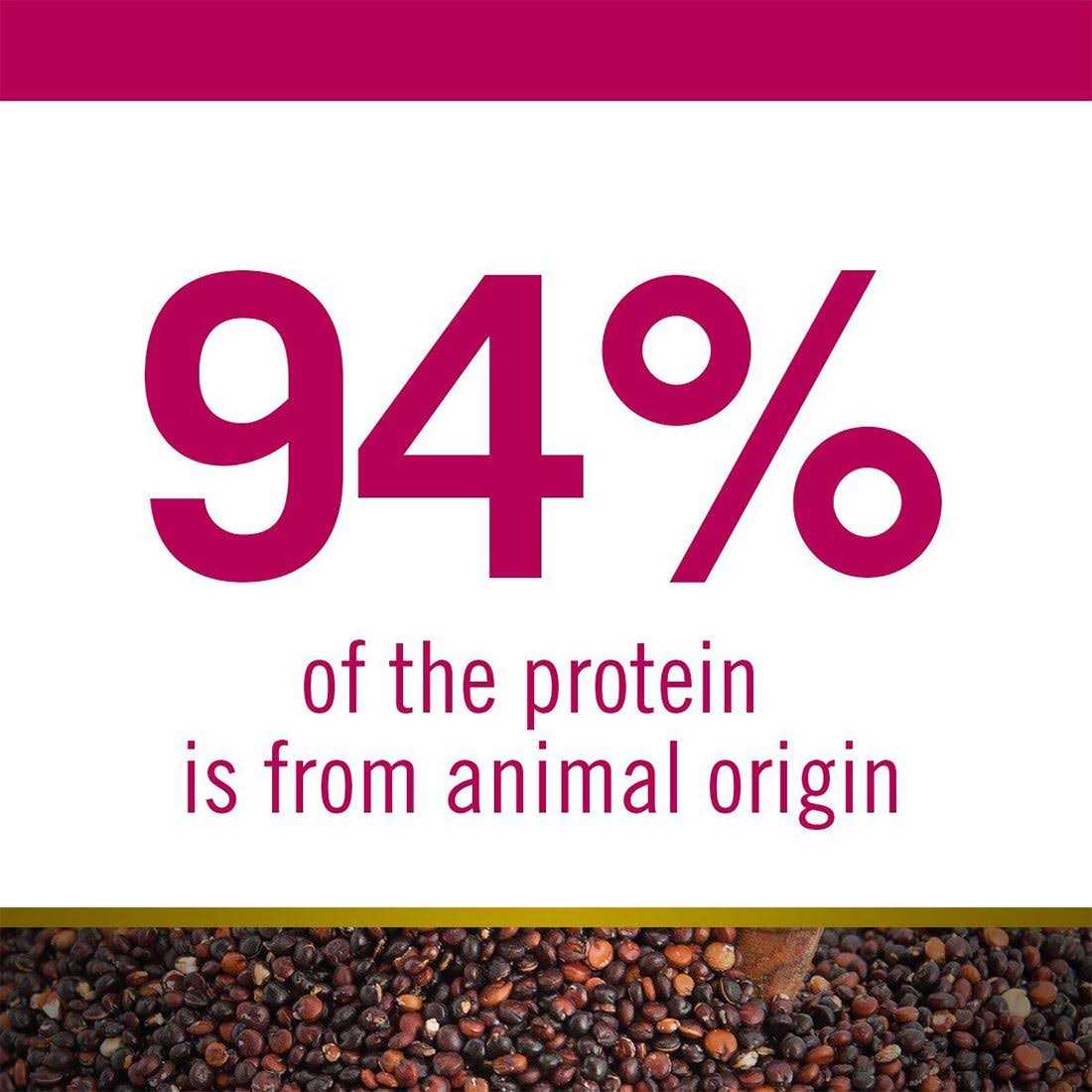 Quinoa Dog Food B38703