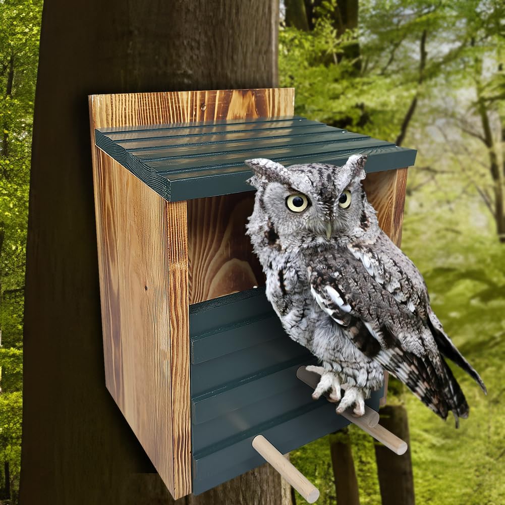 Owl House 100% Cedar Wood J5875