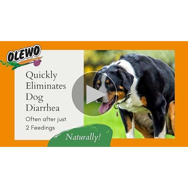 Original Carrots for Dogs H320