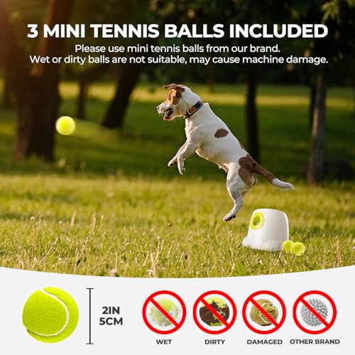 Dog Automatic Ball Launcher with 3 Balls A31032