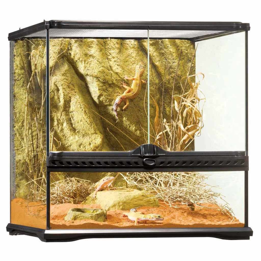 Glass Terrarium X937