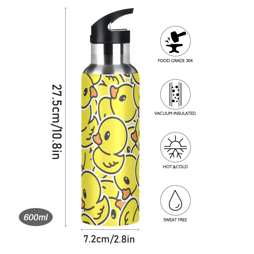 20 OZ Stainless Steel Water Bottle with Straw Lid R5666