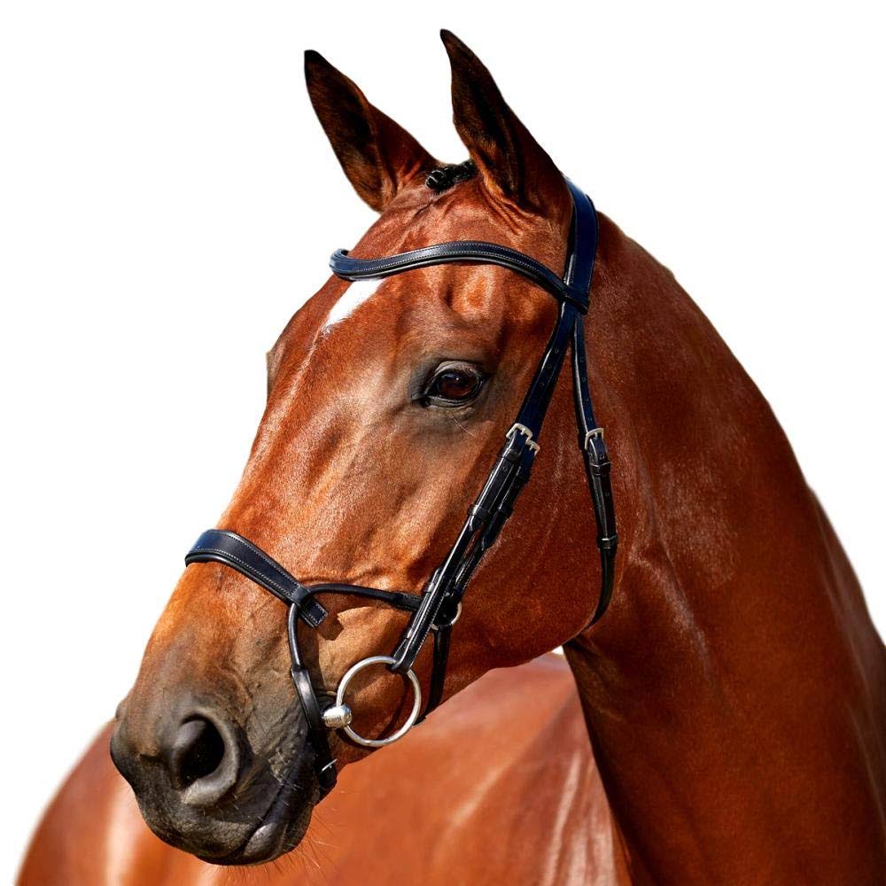Black Training Bridle E642