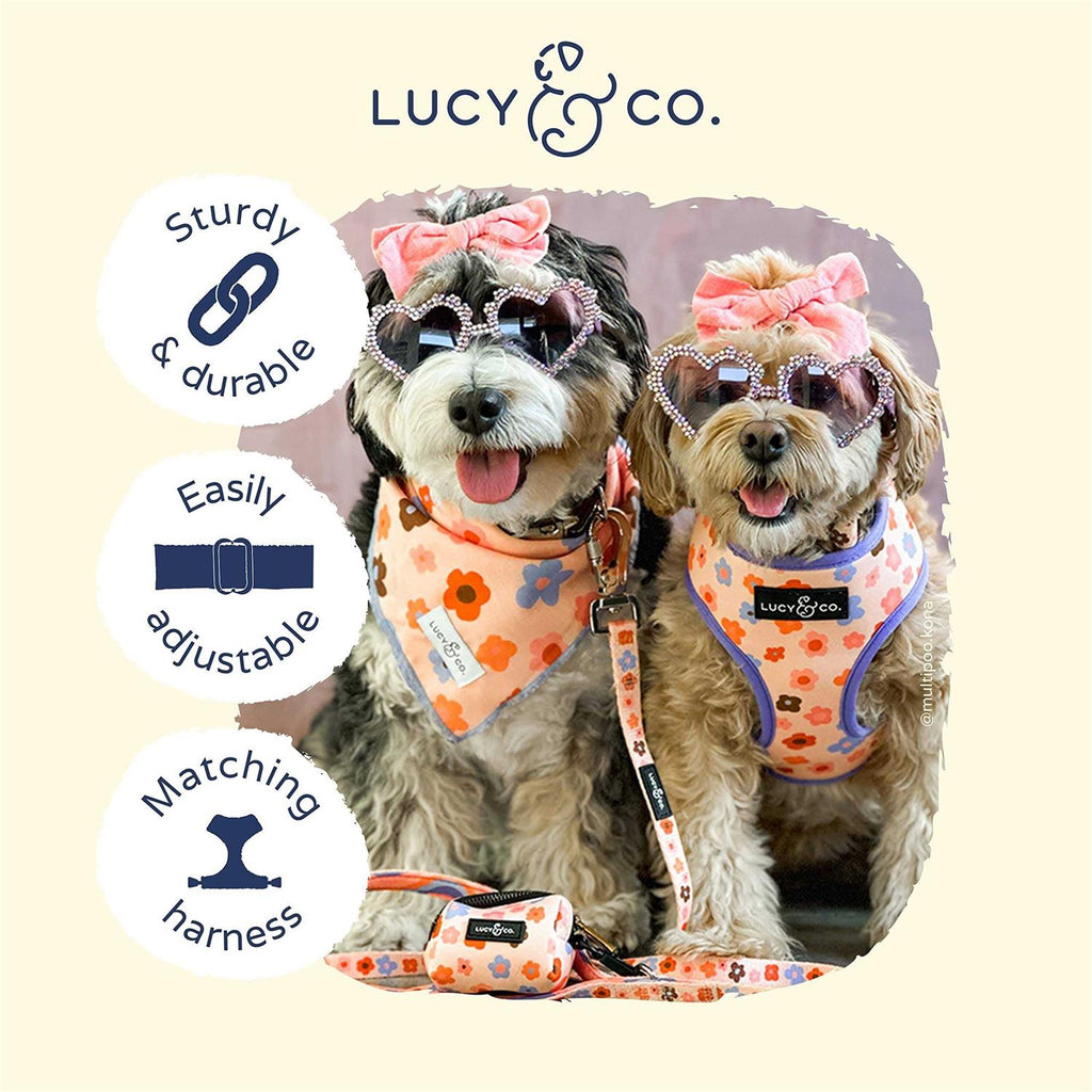 Adjustable Dog Collar S232085