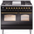 Black Dual Fuel Natural Gas Range with Brass Trim W94295