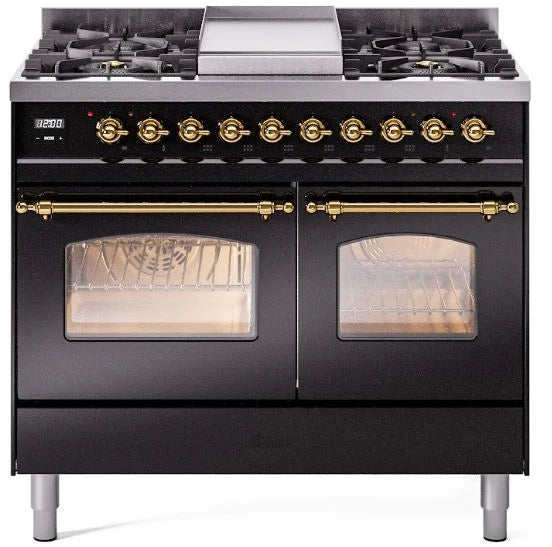 Black Dual Fuel Natural Gas Range with Brass Trim W94295