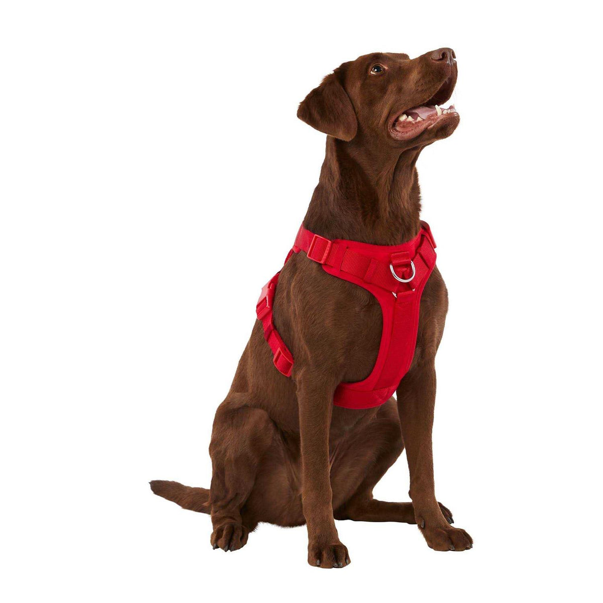 Neoprene Dog Harness O501000