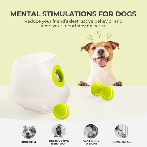 Dog Automatic Ball Launcher with 3 Balls A31032