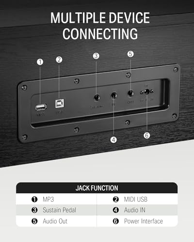 88 Key Weighted Digital Piano with Three Pedals Y887051