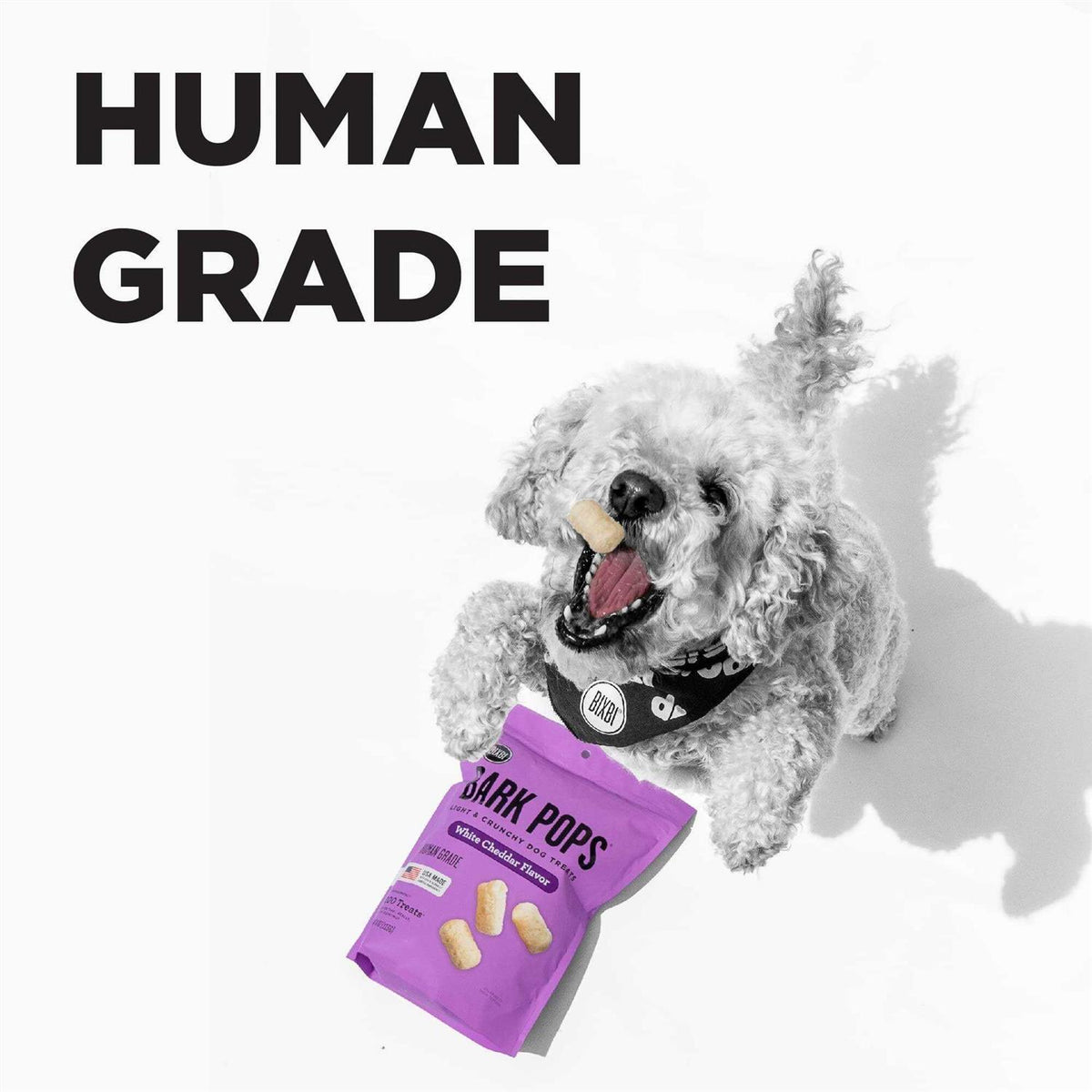 Bark Pops Dog Treats Q961313