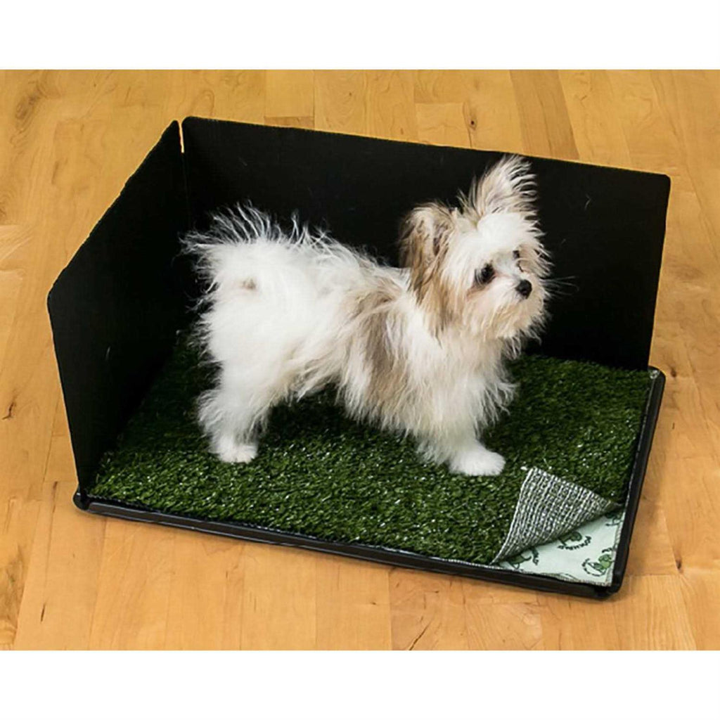 Indoor Turf Dog Potty M592652