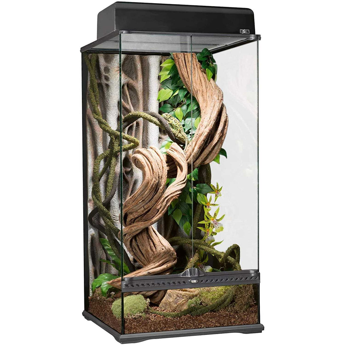 Glass Terrarium X937