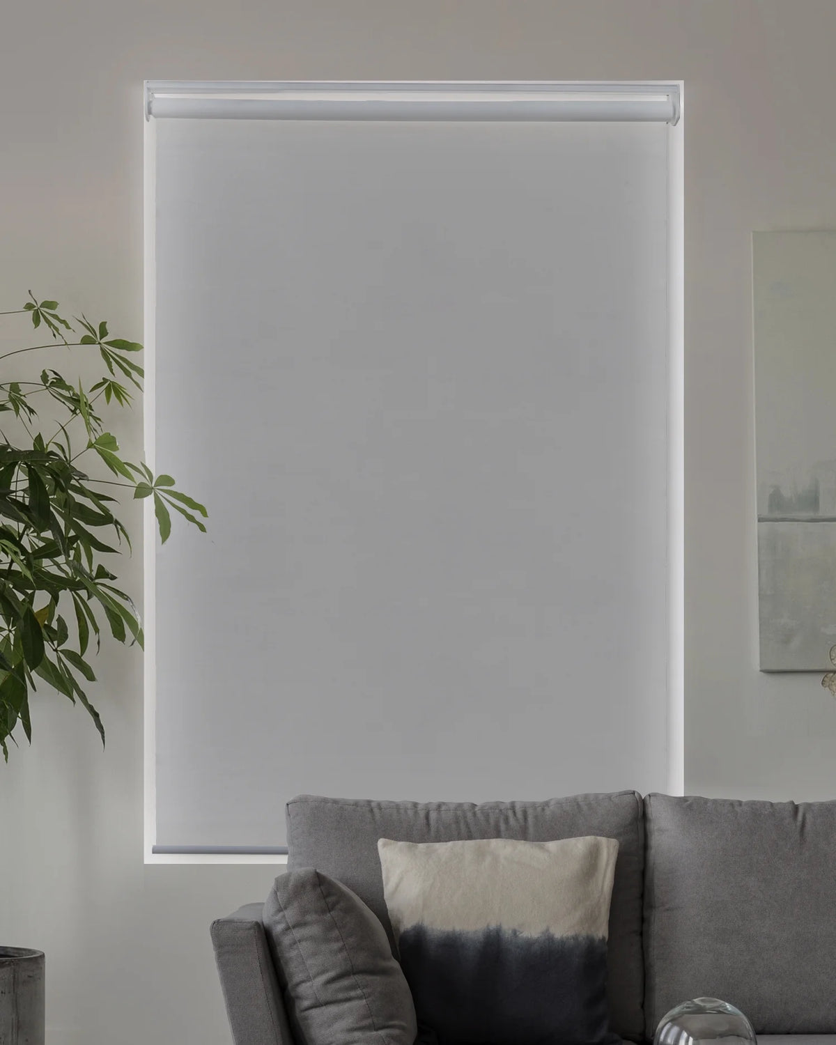 Cordless Blackout Roller Shade 23"W X 72"H Q2079