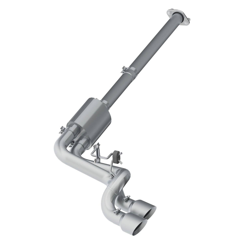 Cat Back Exhaust System D29787