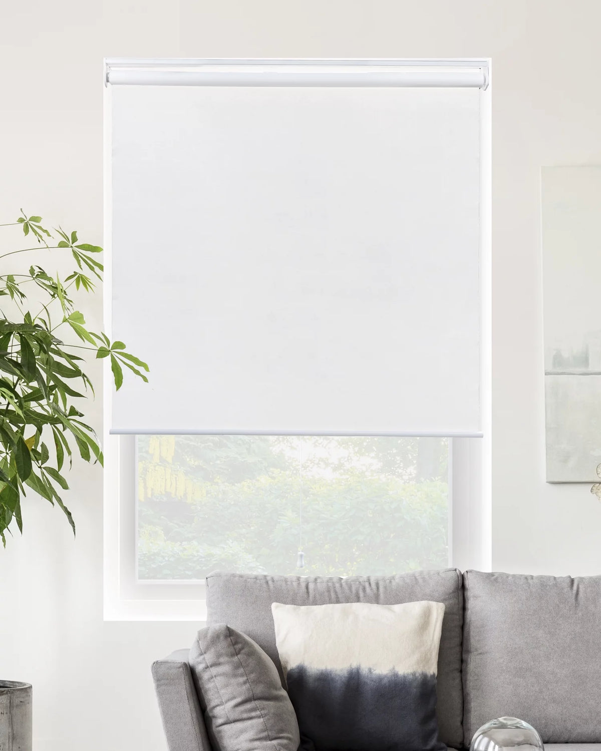 Cordless Blackout Roller Shade 23"W X 72"H Q2079