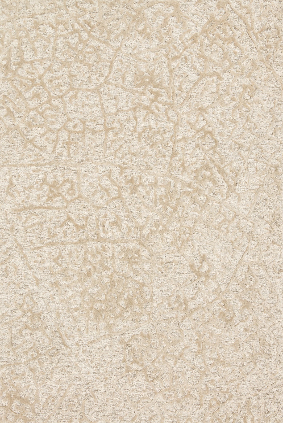 Ant Ivory Beige 5' x 7'6 Rug O637