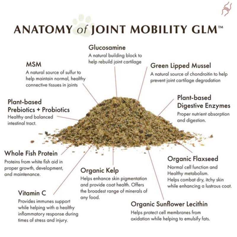 Joint Mobility with Green Lipped Mussel A3429