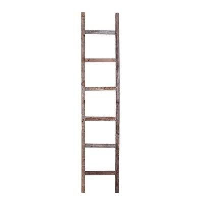 Gray Wood Ladder Bookcase B8760