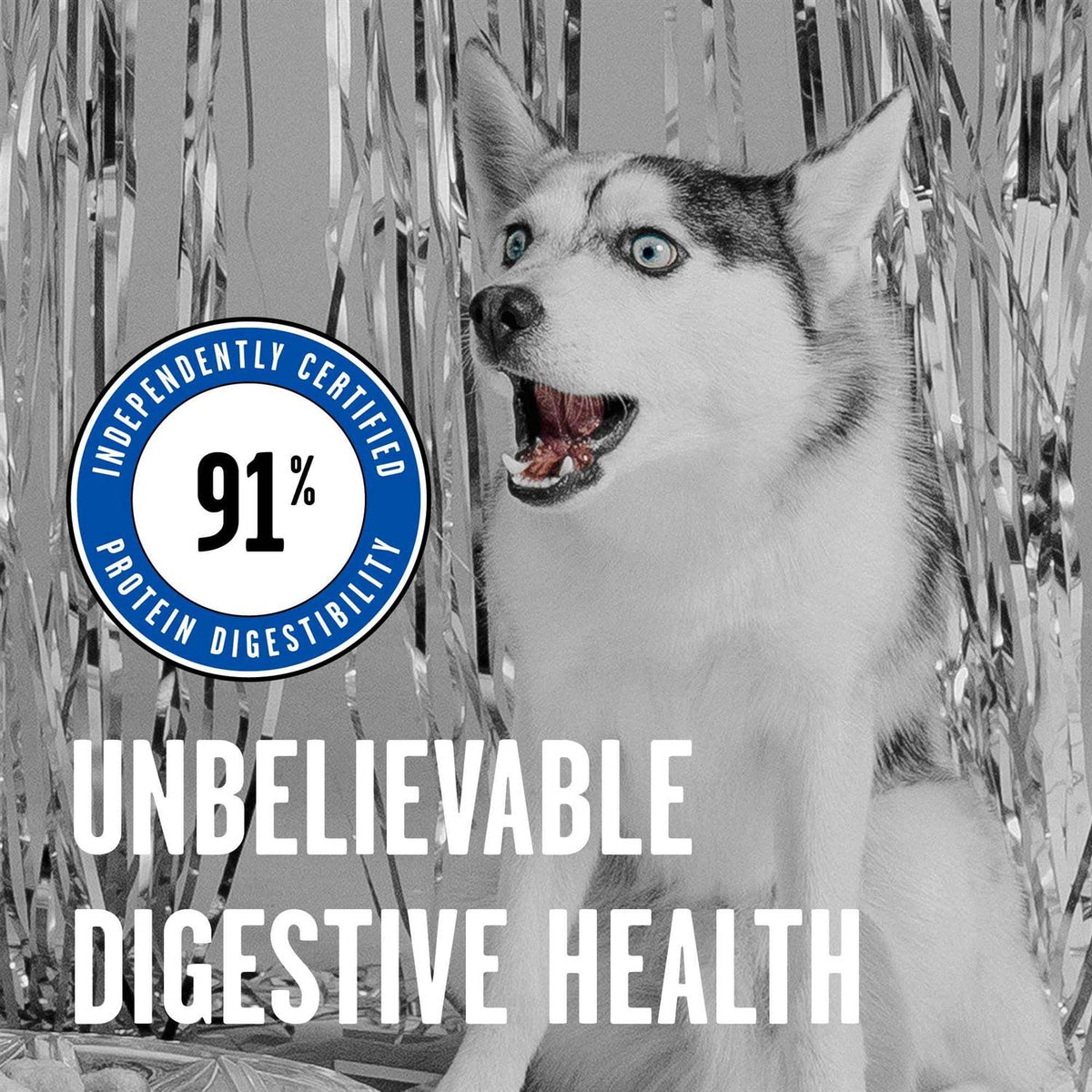 Dry Dog Food M868456