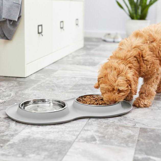 Double Stainless Steel Pet Bowl with Silicone Mat K1243