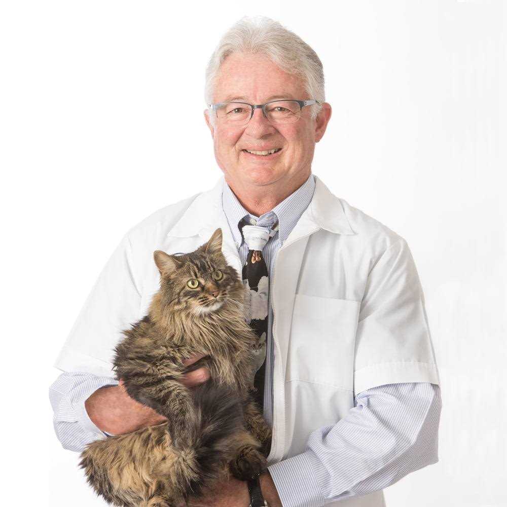 Cat Litter M535