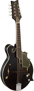Black Electric Guitar H50192