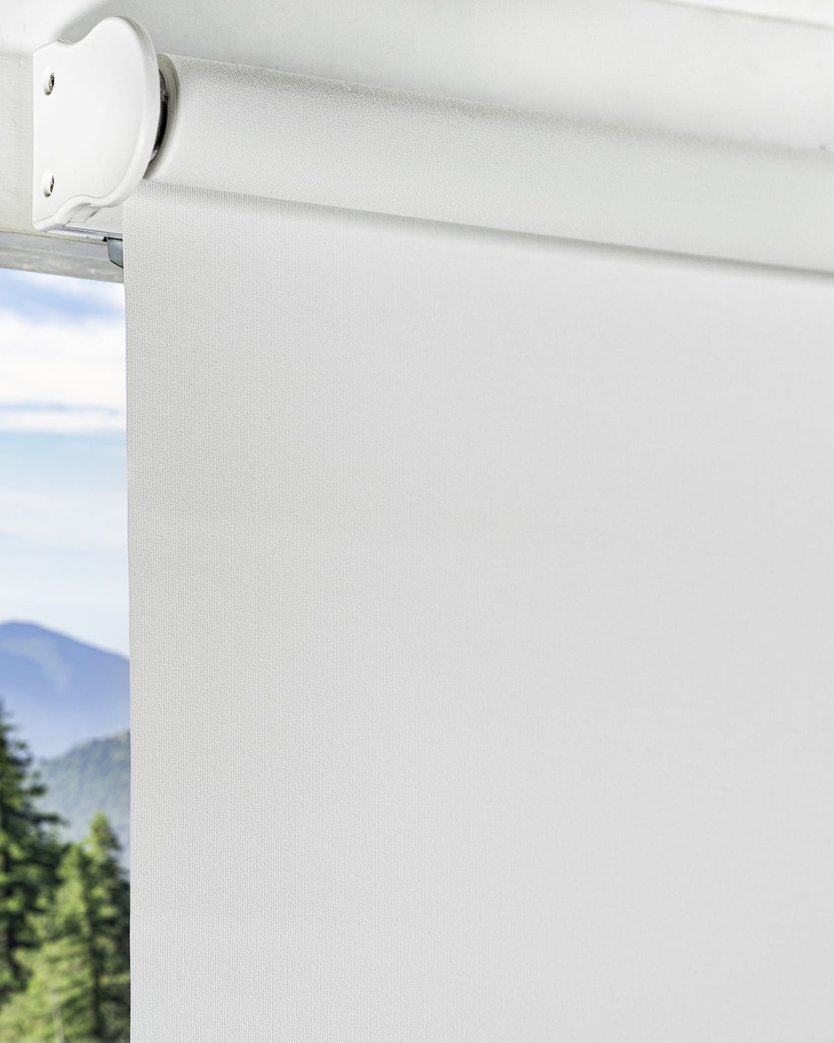 Cordless Blackout Roller Shade 23"W X 72"H Q2079